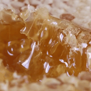 soft-stims:Honeycomb