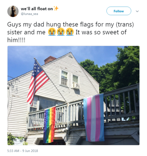 “Guys my dad hung these flags for my (trans) sister and me  It was so sweet of him!!!!”- @lunaa_sea 