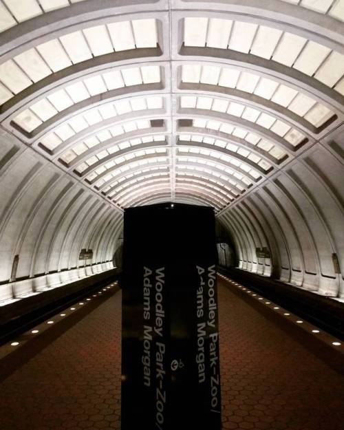 And another beauty. Woodley Park metro station. The arc style is simply stunning. I love it more tha