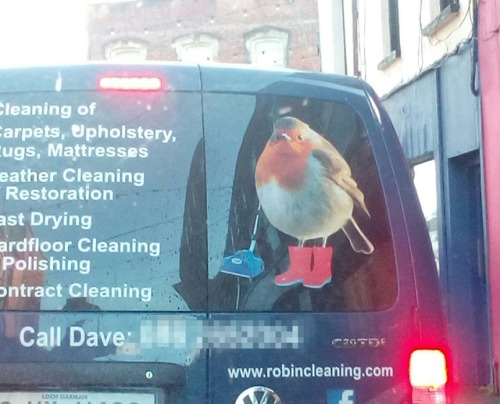 team-galactics:if been trying to get a picture of this van for years