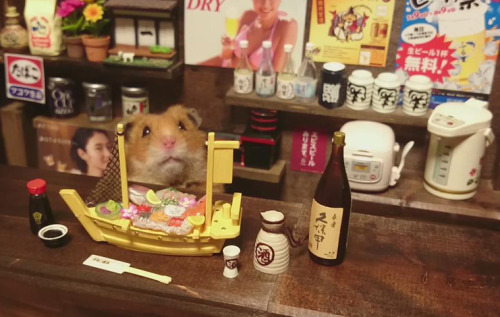 mayahan:Little Hamster Bartenders Serving Tiny Food and Drinks