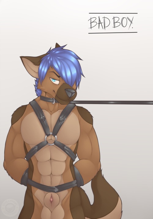 azure-n-saby: SpazzyHusky BDSM part two (canids from least liked to greatest liked but I love them all) 