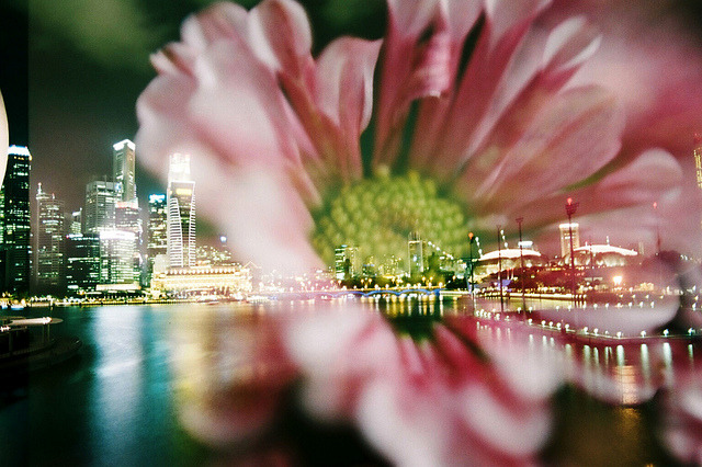 Singapore Night in Flower on Flickr.
Via Flickr:
A film swap project made by me and Samantha Ann Francis from Singapore. Photos were exposed both in Nha Trang (Vietnam) by me and in Singapre by Samantha.
• Camera: Nikon FM
• Film: Kodak Color Plus...