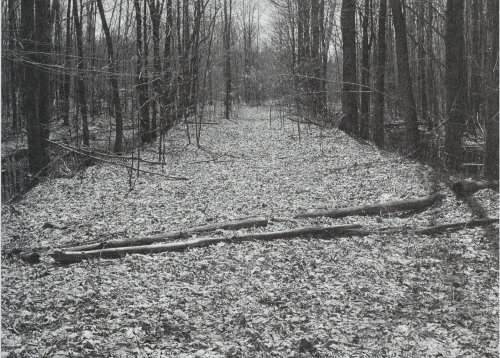 nemfrog: Abandoned road. Michigan botanist. January-March 2010.Internet Archive