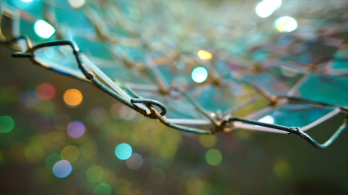 Soo Sunny Park (b. Seoul, Korea) - Unwoven Light at Rice University’s Rice Gallery in Houston, Texas. Composed of 37 individual sculptural units, the installation uses iridescent plexi-glass embedded in pieces of a chain link fence to cast shimmering,