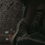 lost-v3rmex