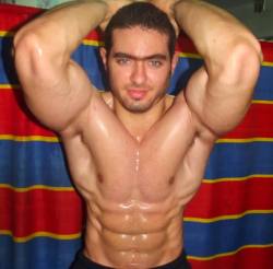 Massive arms, impressive abs - Would enjoy having his arms around me.