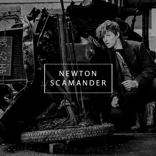aeryastark: newt scamander // for @slytheringsnape we’re going to recapture my creatures before they