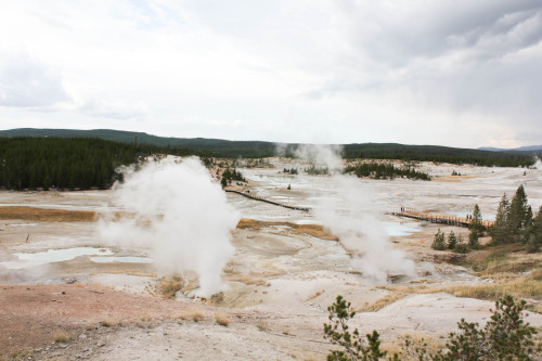 Interesting landscapes.Porcelain Basin, Yellowstone National Park, USAAugust 2015