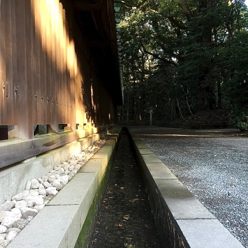 一点透視＠明治神宮One point perspective @ Meiji Jingu , Japan