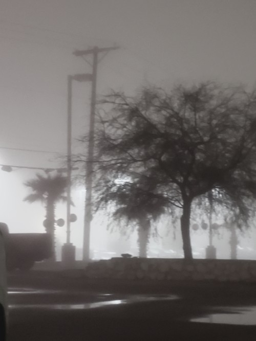 The Fog Comes At Unexpected Times