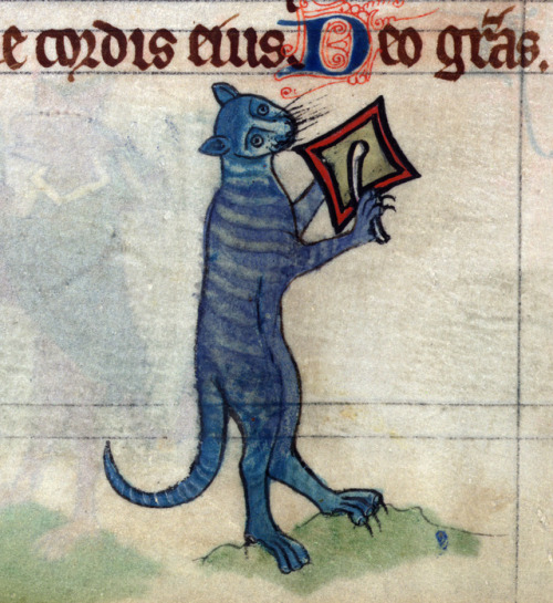 drummer catbook of hours, England ca. 1300Baltimore, Walters Art Museum, Ms. W.102, fol. 78v