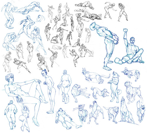study dump. people and animals. 