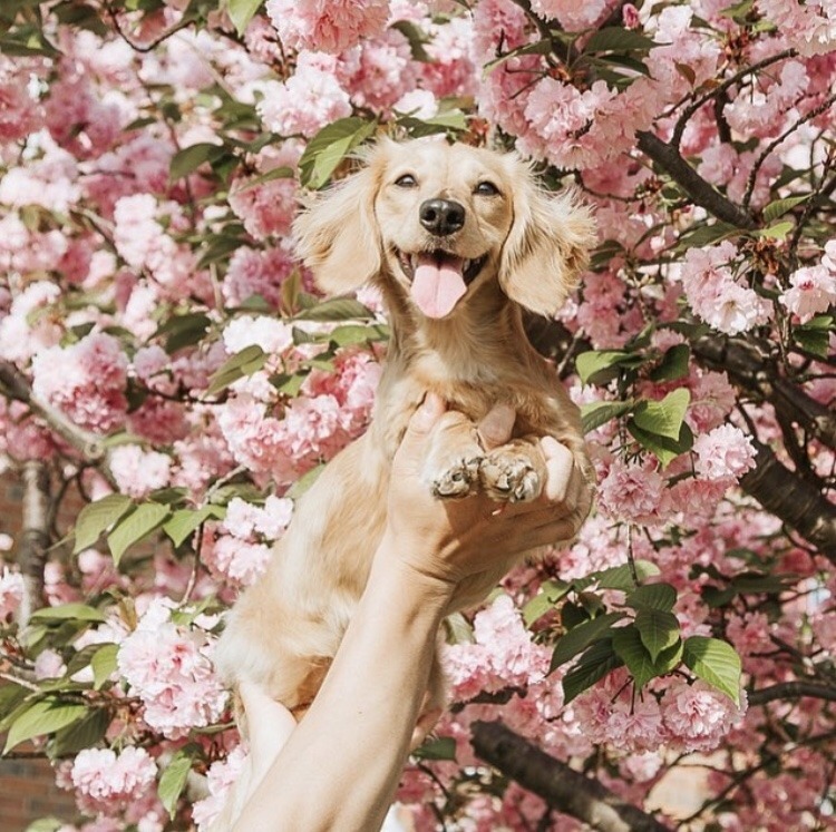 friendly-animals:  (Source)