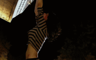 Just Alex Daddario