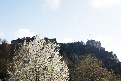 villierscy:edinburgh, april 2015