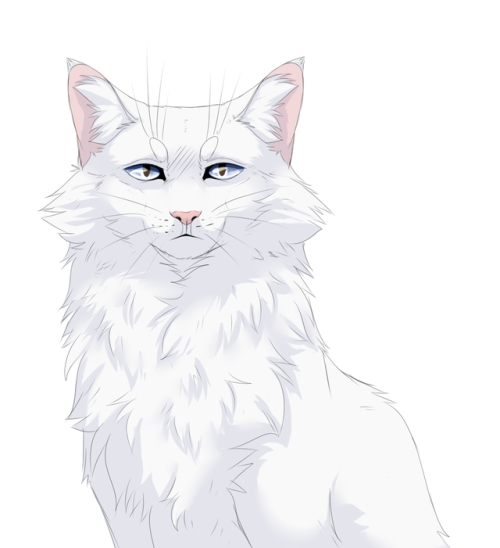 cat-with-horns:catscommissions