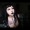 dont-get-murdered-xo-deactivate:I sell nudes and solo videos for cheap DM me if ur