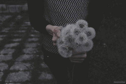 darkaestheticsx:  Sometimes wishes are fake