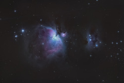 brianfulda: The Orion Nebula, taken through