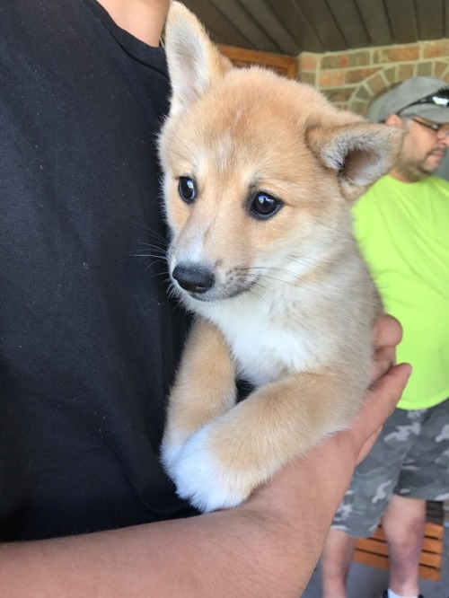 darkvioletcloud:Here she is!!!