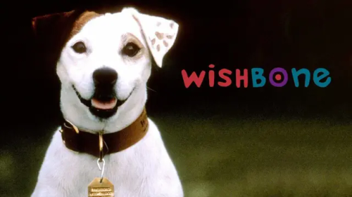 What Was Your Favorite Preschool Show?