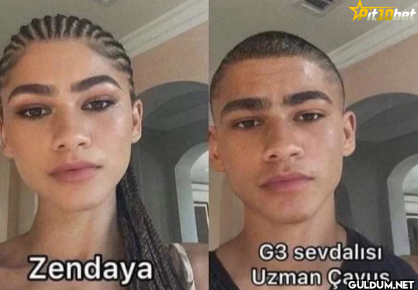 Zendaya Pitinbet G3...