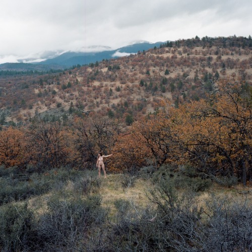 keightdee:@finchdown at the California-Oregon border. Autumn. Hasselblad 500 cm | 80mm f/2.8 Zeiss