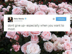 superpvnk:  important words from pete wentz