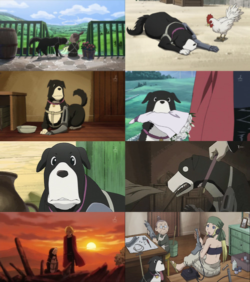 sugarqueenofonlyeighteen:  “I want you to take Granny and Den and leave the country for a while.” — Edward Elric 