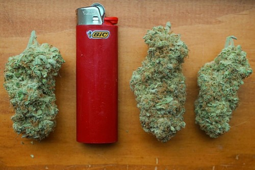 mice-teeth:  big nugs are the best nugs 