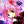 kirbybby: