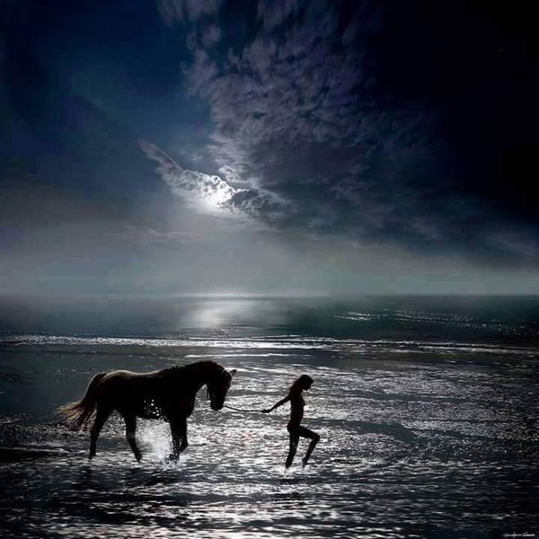 Sweeet pic
