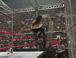 wrestlingchampions:  Triple H (w/Stephanie McMahon-Helmsley) d. Cactus Jack in a