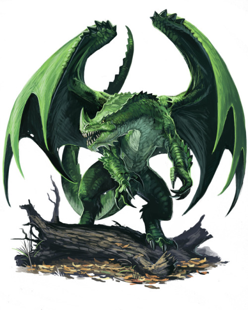 creaturesfromdreams:  Young Dragons by Ben Wootten —-x—- More: | Dragons | Random |CfD Amazon.com Store| 