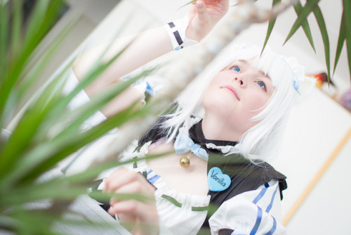 Have a few pics of my Nekopara Vanilla cosplay!Photographer