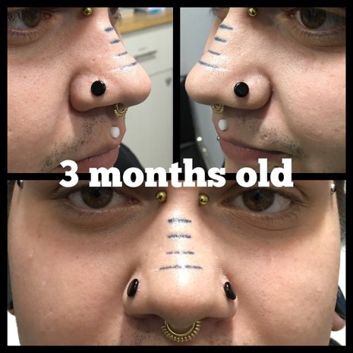 gordzillapierce:3 month old 6g nostrils with @gorillaglass jewelry. Bridge piercing also done by me.