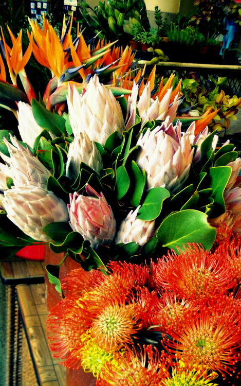 waitingroompictures:  Exotic flowers in Madeira’s market