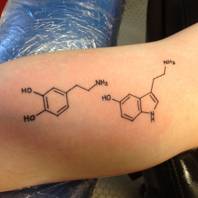 chemical equation tattoo｜TikTok Search