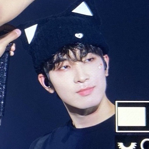 Wonwoo