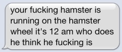 tittled:  my friend is babysitting my hamster