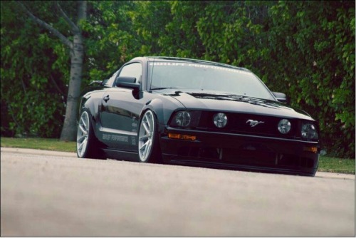 radracerblog:  Ford Mustang GT 500