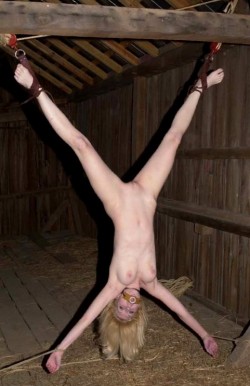 paul-kinky:  When her owner decided he had had enough of her he took her to an old secluded barn, tied her up and left.