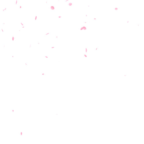 deathscythe-x:  Transparent cherry blossom petals falling. 