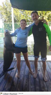omg-pictures:  The look on that seals facehttp://omg-pictures.tumblr.com