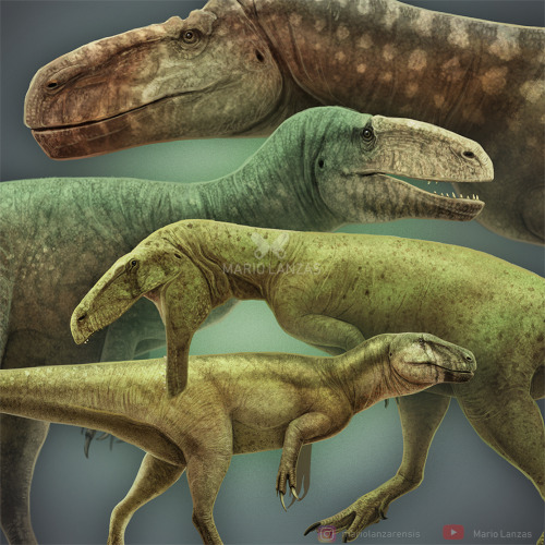 MEGALOSAURODEAThese are some of the dinosaurs featured on my video dedicated to this group of t