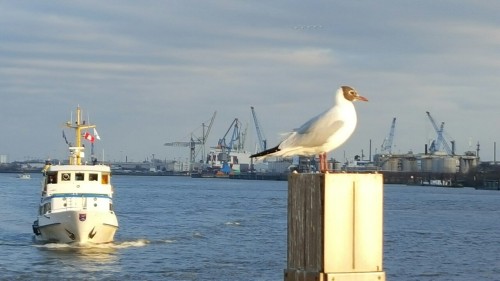 Hamburg harbour 2016.