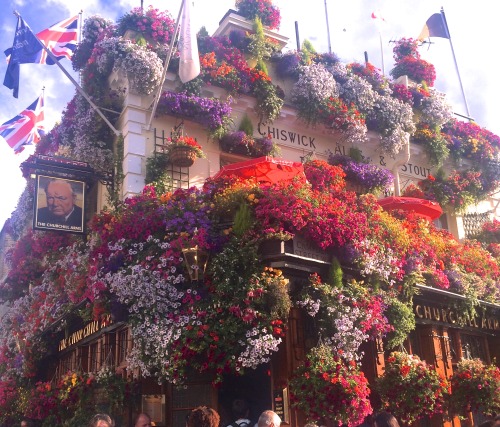 ivorylola: sister-japan: My fav pub in London. ロンドンのお気に入りパブ this is one of the prettiest pictures I&