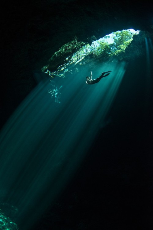 fuckeverythingbecomeapirate: &ldquo;A freediver reaching back up to the surface in ‘The Pi