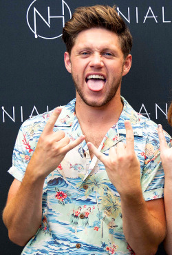 dailyniall:Meet &amp; Greet, Flicker World Tour Mountain View 08/04/18